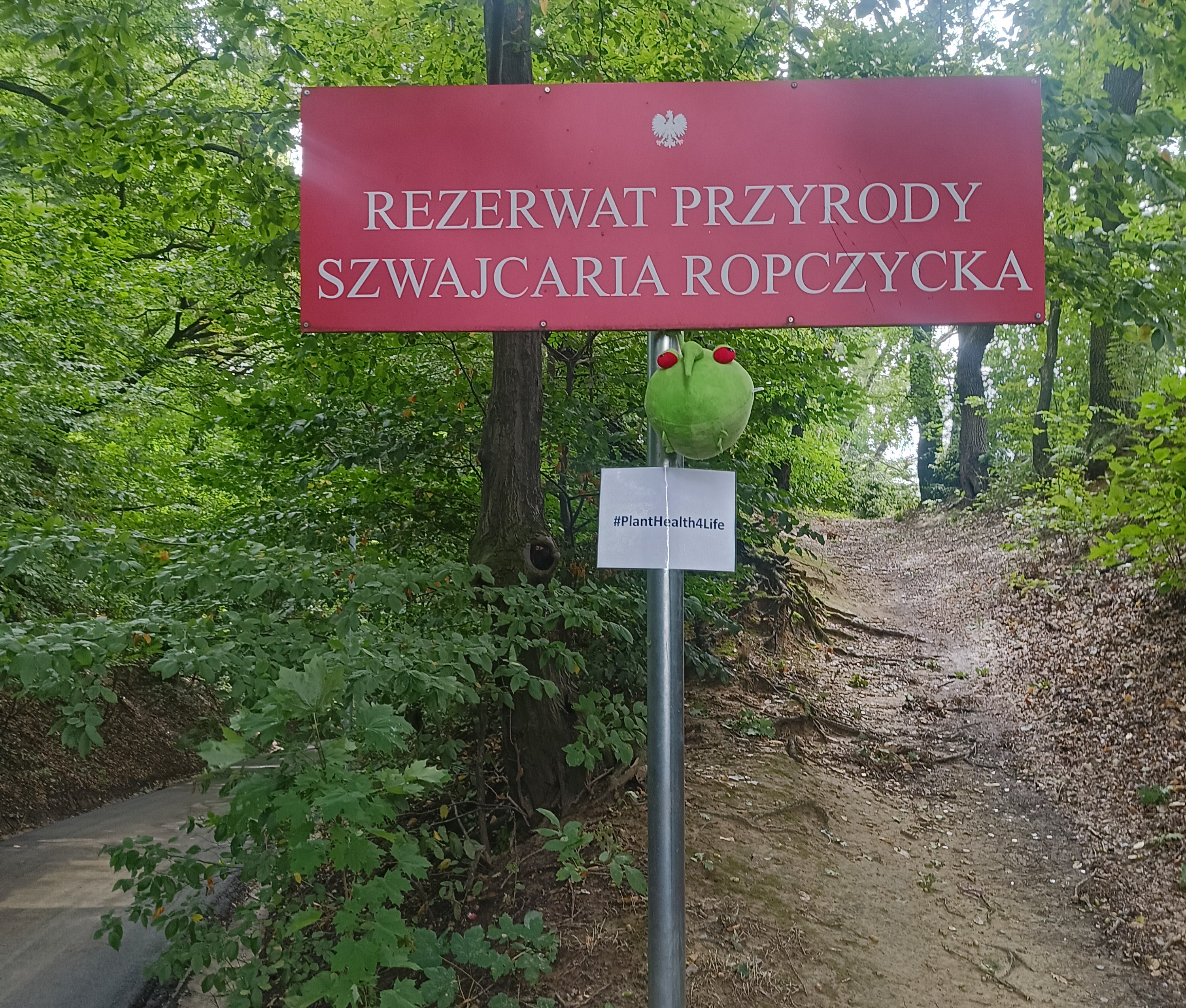 Maskotka PESTY odwiedziła powiat ropczycko-sędziszowski